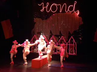 HOND HOUSE OF NATIONAL DOG — Foto 51